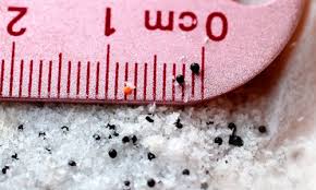 what microbeads look like