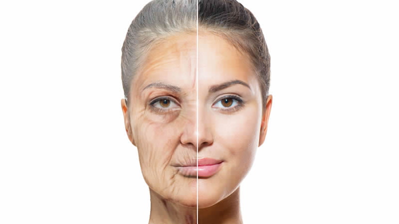 10 Anti Aging Skin Care Ingredients
