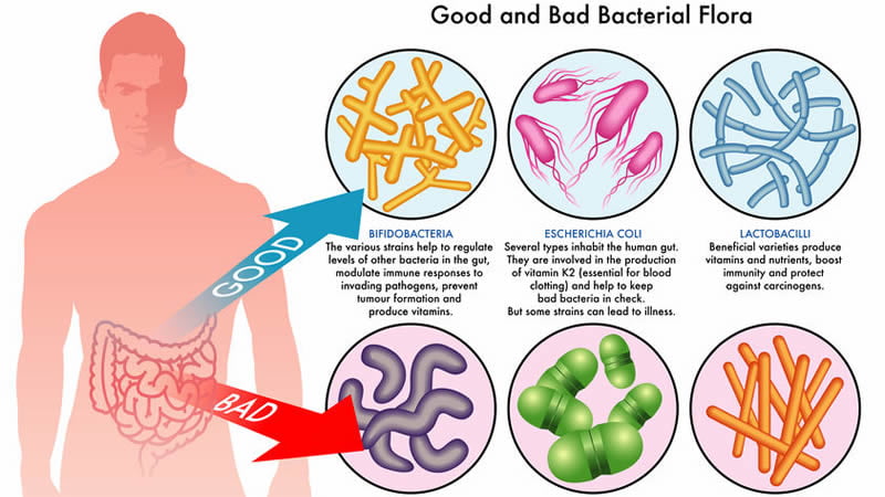 Probiotics and Prebiotics