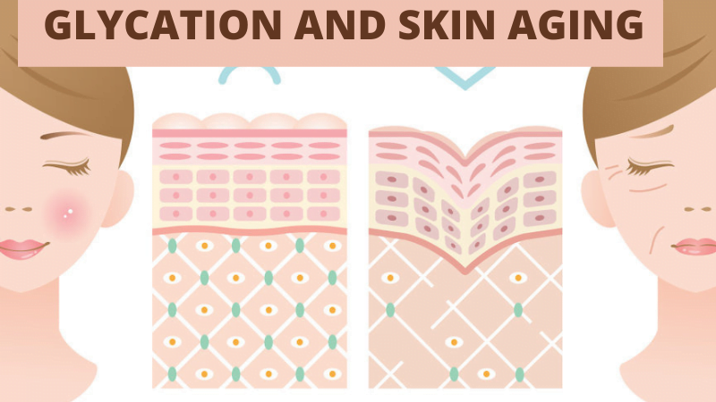 Glycation and Skin AGING