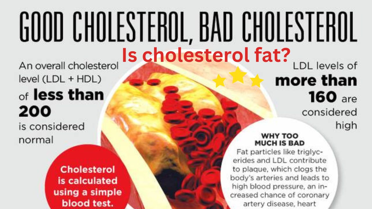 Is Cholesterol Fat? Cholesterol Is A Waxy, Fatty Molecule Called