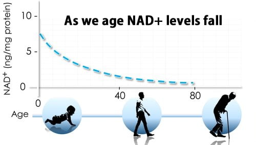 NAD Levels Reduce with AGE - we do we lose energy as we get older ?