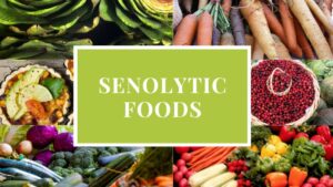 Senolytic Foods