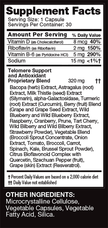 Sisel TSX Ingredients