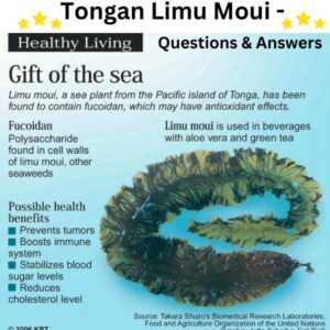 Tongan Limu Moui - Questions & Answers