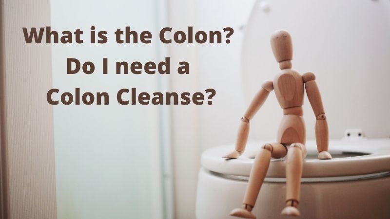 What is the Colon and Do I need a Colon Cleanse