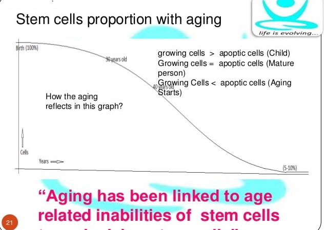 graph showing stem cells aging